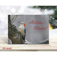 A nature aesthetic Christmas card with a woodpecker in the snow and the greeting, "Holiday Wishes!" available at Cove Creek Photography. A nature aesthetic Christmas card with a woodpecker in the snow and the greeting, "Holiday Wishes!" available at Cove Creek Photography.